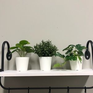 3 fake plants